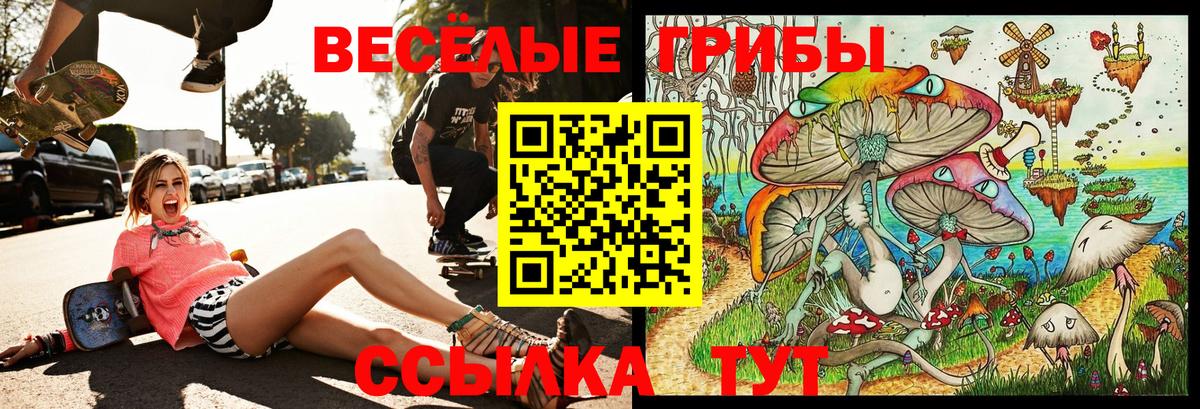 Вологда  Псилоцибиновые грибы Cubensis  Галлюциногенные грибы ЛСД  Вход с VPN 