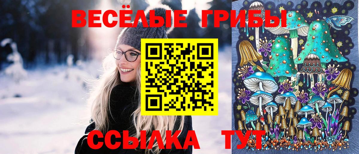 Псилоцибиновые грибы мухоморы Вологда